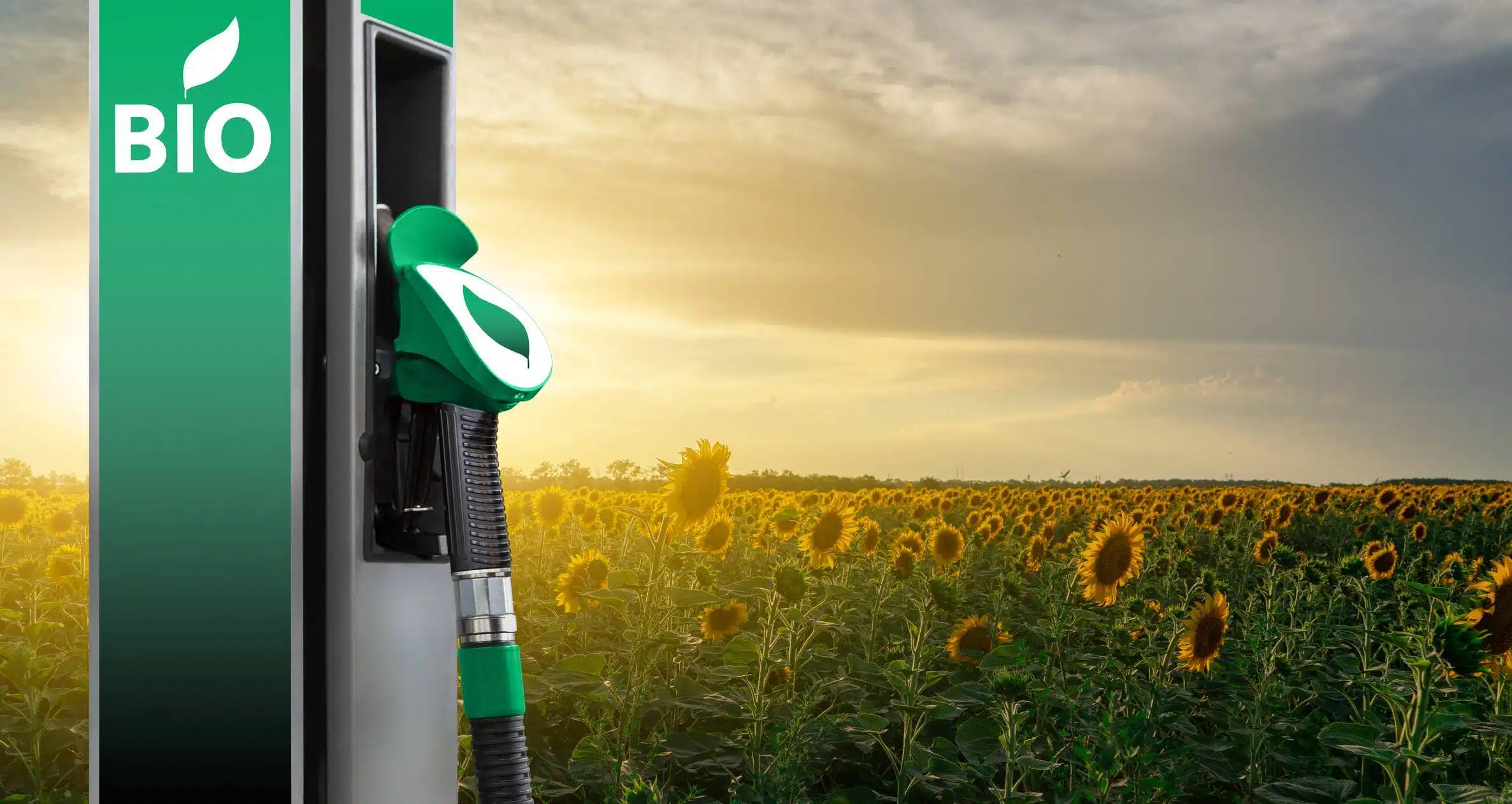 E85 conduite propre verte écologique